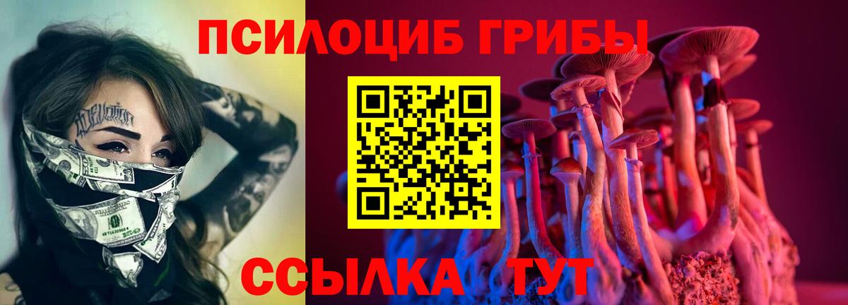 Галлюциногенные грибы мухоморы  Вход с VPN  Качканар 